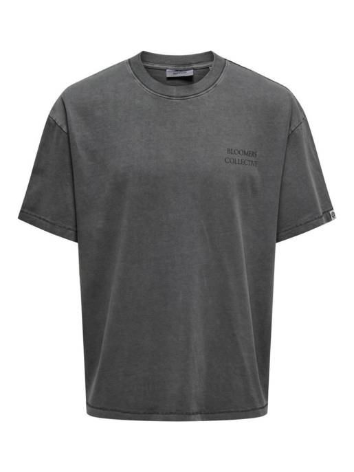 ONLY & SONS ONSAARAV LIFE OVZ SS TEE