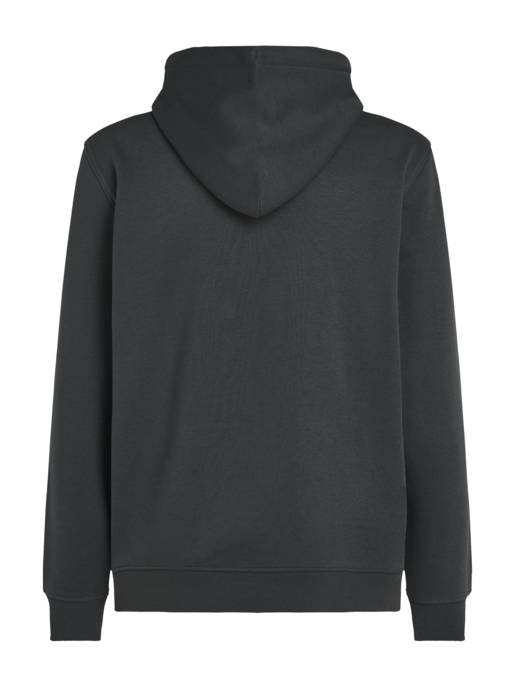 TOMMY JEANS TJM REG ESSENTIAL FLAG HOOD EXT Letzter Tag