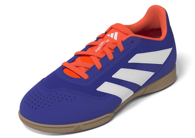 Adidas Performance PREDATOR CLUB IN SALA J Neueste Stile