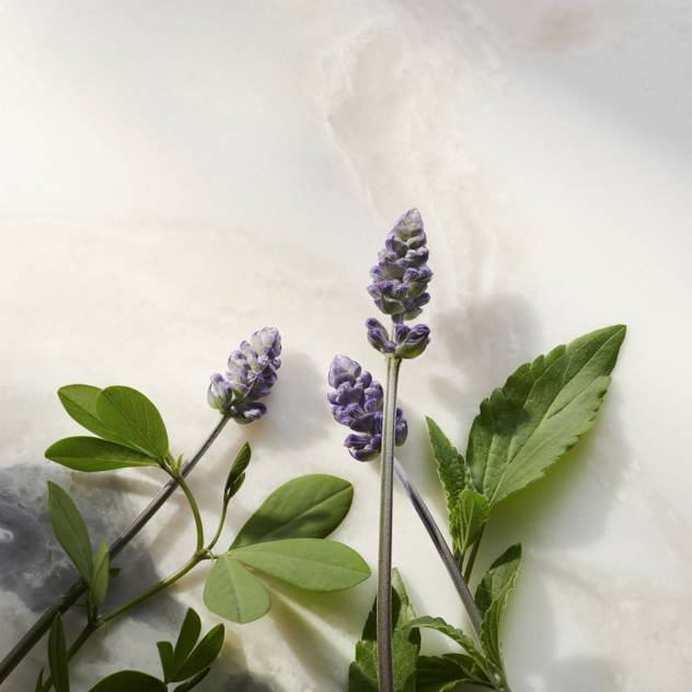 RITUALS The Ritual of Namaste Glow Anti-Ageing Day Cream Nur für heute